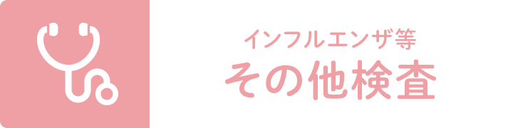 インフルエンザ等その他その他検査検査