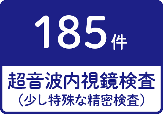 超音波内視鏡検査（少し特殊な精密検査）185件