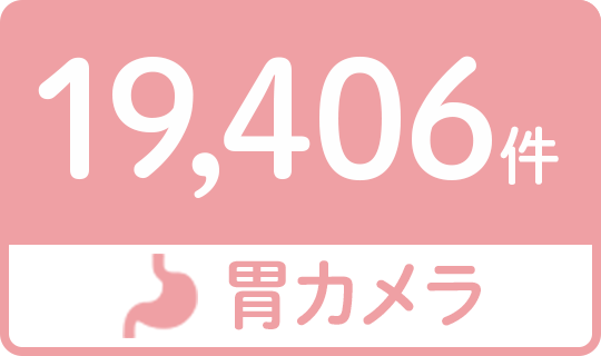 胃カメラ19,406件